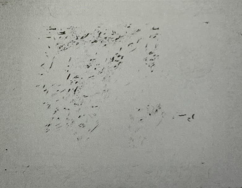 Рембрандта з написом