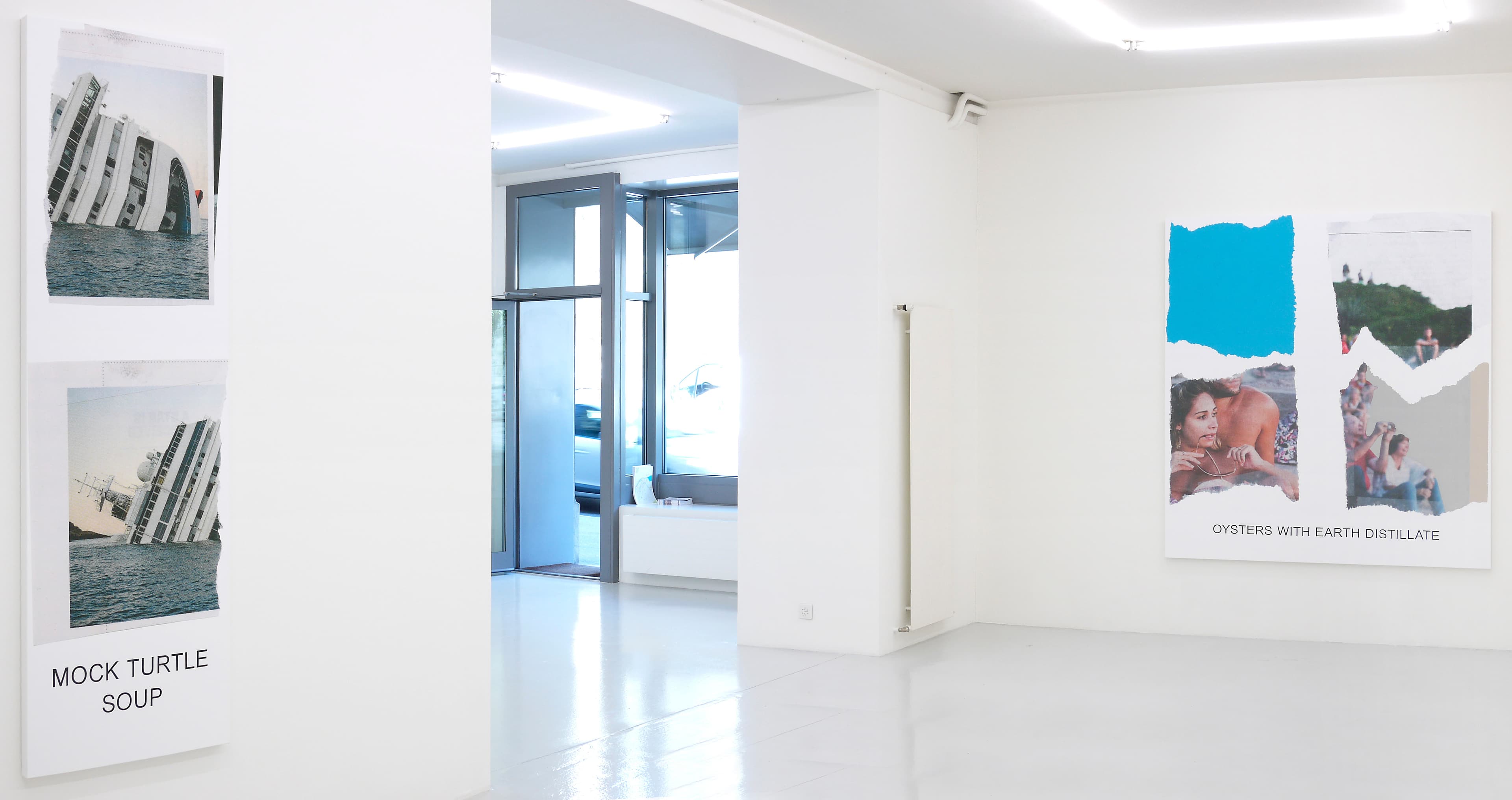 Кусочки и кусочки: суп из черепахи