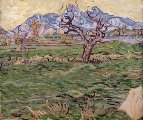 Пейзаж з оливковим деревом і горами на тлі