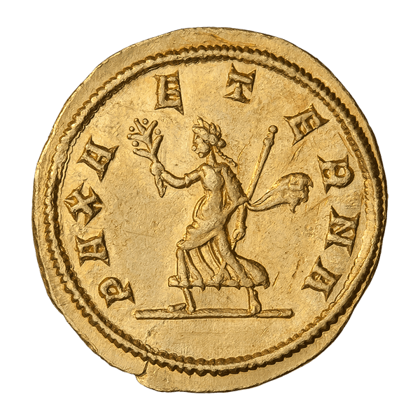 Список монет Музея МНК