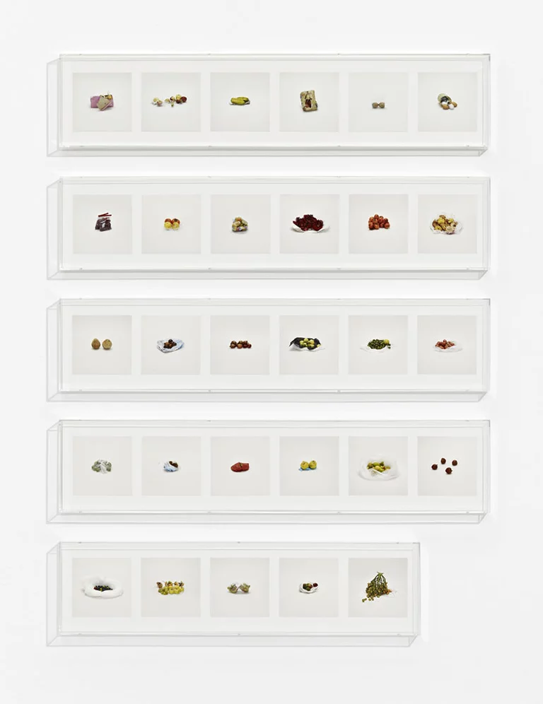 Фрукти, Різне (Заборонено)