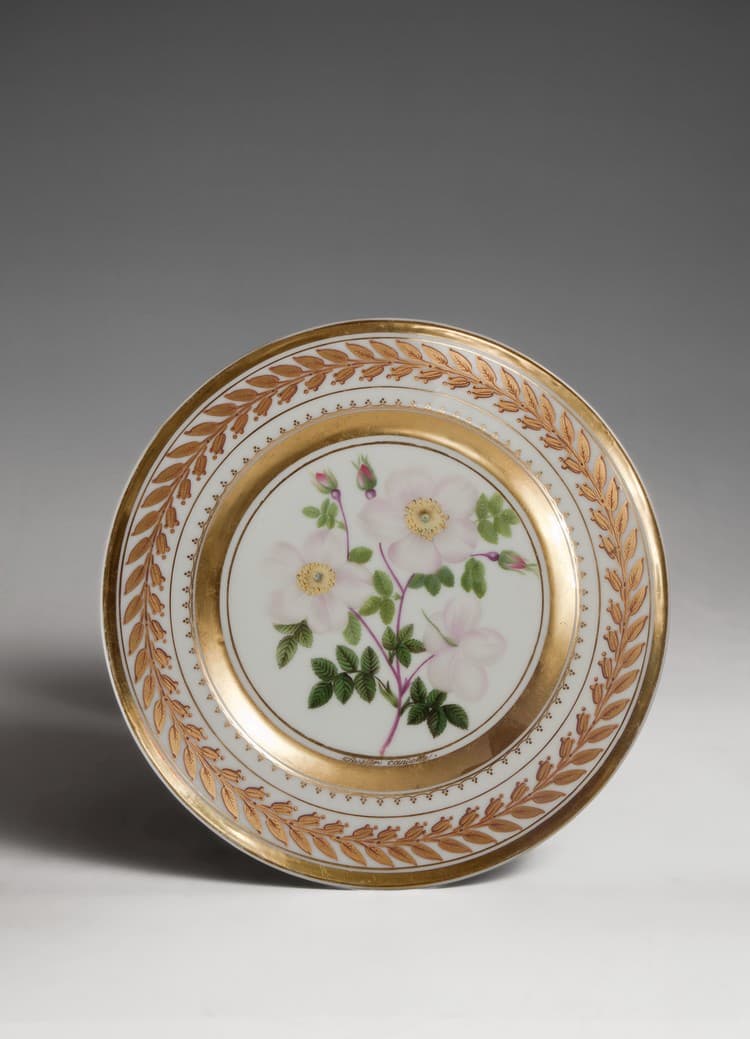 Тарілки з серії «Рози» (за ботанічним атласом П'єра-Жозефа Редута)