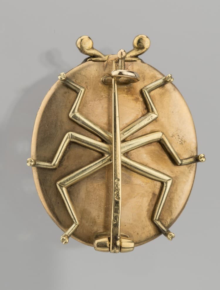 Брошка "Божа корівка"