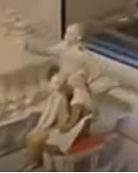 not identified